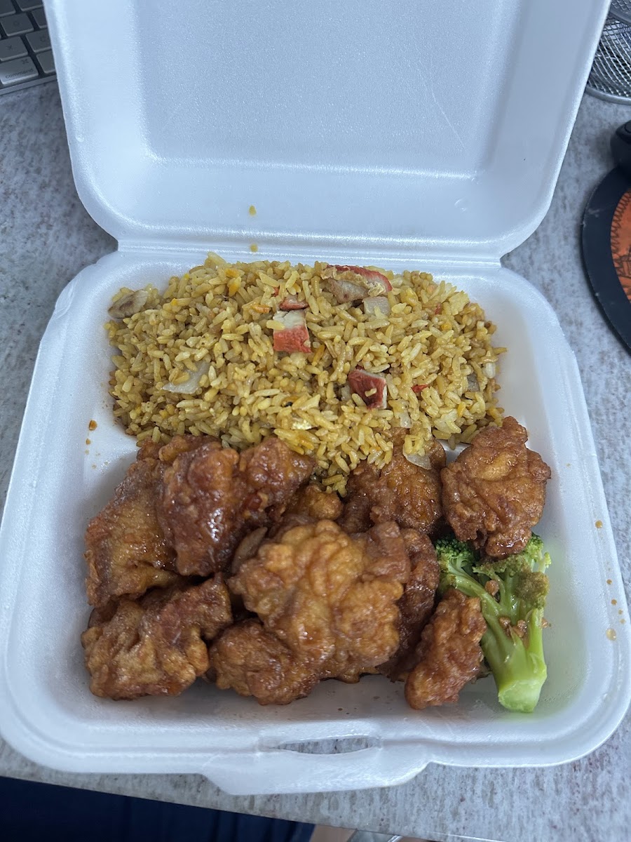 Jan Mei Chinese Takeout & Delivery-5